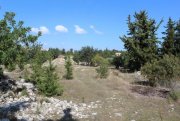 Douliana Riesiges Grundstück mit Ruinen, Wald, Olivenhain und Panoramablick Grundstück kaufen